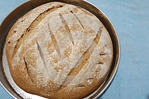 Rustic bread, homemade, prepared with whole wheat, olive oil, water and salt, round in shape, on a blue background