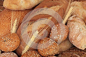 Rustic Bread and Rolls