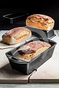 Rustic bread in tins