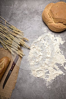 Rustic bread and wheat spikes on a grey background