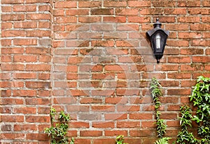 Rustic brick wall with a lamp and plants