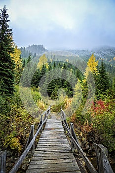 Rustic bridge at Cayoosh Creek, Duffey Lake Road, British Columbia, Sea to Sky Highway, Canada