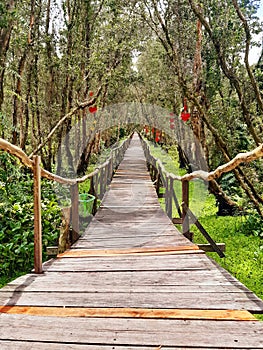 Rustic bridge of old wooden planks among tropical vegetation. Oriental rural landscapes. Architecture and construction