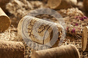 Rustic Brown Wine Corks