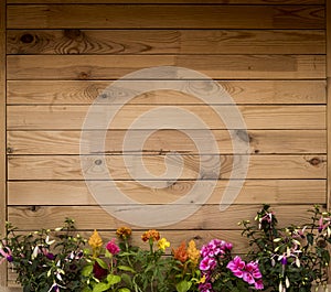 Rustic brown wooden plank - recycled material - horizontal striped - old pattern -background - plants in spring bloom