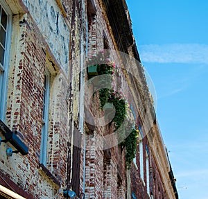 Rustic Building of Charleston South Carolina