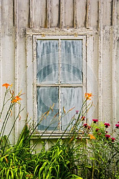 Rustic building with a weathered old window and orange flowers in front, at taconic state park