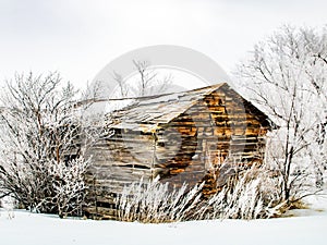 Rustic buildings and historic cars. Dorothy, Alberta, Canada