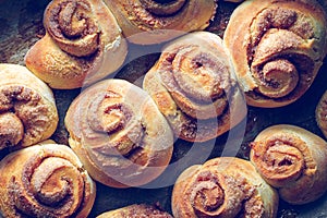 Rustic buns of sweet milk and cinnamon.