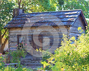 Rustic Cabin