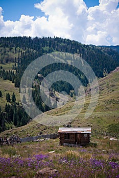 Rustic Cabin in Colorado Mountains