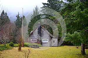 Rustic Cabin in the woods