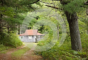 Rustic Cabin in the Woods of Nova Scotia