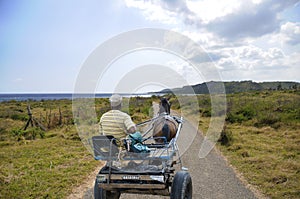 Rustic carriage