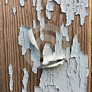 Rustic charm emphasizing the interplay between the rough timber