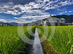 Rustic Charm: Exploring Hida\'s Village Tranquility, Gifu Prefecture, Japan
