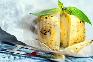 Rustic cheese with herbs on paper background