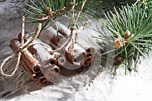 RUSTIC CINNAMON AND FIR BRANCH STILL LIFE ON SNOW COVERED BACKGROUND