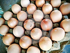 A rustic collection of fresh eggs with natural white and blue-green shells, arranged in a carton.