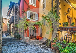 Rustic corner in Montecatini