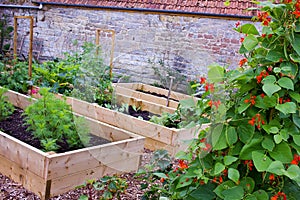 Rustic Country Vegetable & Flower Garden with Raised Beds