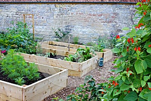 Rustic Country Vegetable & Flower Garden with Raised Beds