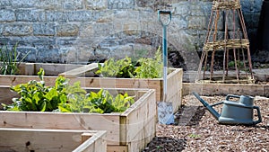 Rustic Country Vegetable & Flower Garden with Raised Beds. Spade & Watering Can