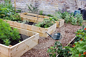 Rustic Country Vegetable & Flower Garden with Raised Beds, Spade, Watering Can & Composters