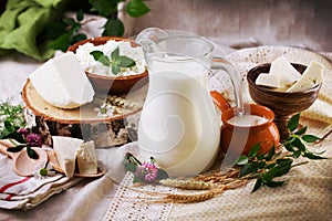 Rustic dairy products still life