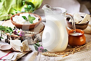 Rustic dairy products still life