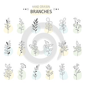 Rustic decorative branches and flowers collection. Hand drawn vintage vector design elements. Doodling. Vector illustration