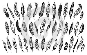 Rustic decorative feathers. Hand drawn vintage vector design
