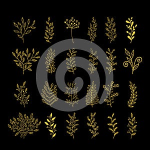 Rustic decorative plants collection. Hand drawn vector design elements.