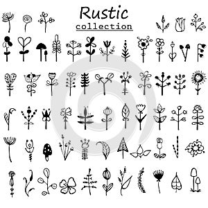 Rustic decorative plants and flowers collection. Black and white card with flowers. Romantic background for web pages, wedding in