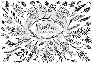 Rustic decorative plants and flowers collection. Hand drawn.