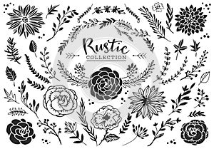 Rustic decorative plants and flowers collection. Hand drawn