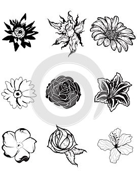 Rustic decorative plants and flowers collection. Hand drawn vector illustration poster template