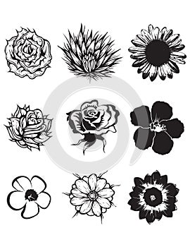 Rustic decorative plants and flowers collection. Hand drawn vector illustration poster template