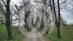 A rustic dirt road surrounded by trees in a natural forest landscape Maschsee Hanover Germany