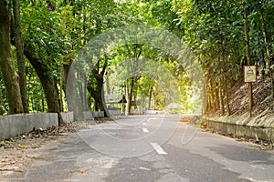 A rustic empty highway road surrounded by lush trees in the middle of the forest. At Los Banos, Laguna, Philippines photo