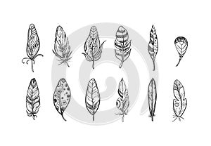 Rustic Ethnic bohemian style feathers. Vector Hand drawn set. Sketch illustration. Vintage Tribal and Decorative feathers.