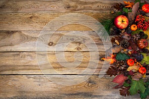 Rustic fall background with pumpkin, apples and cones
