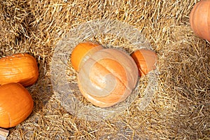 Rustic Fall Pumpkins and straw Background. Autumn festival. Stylish fall decor of exterior building.