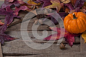 Rustic Fall Setting with Minature Pumpkin
