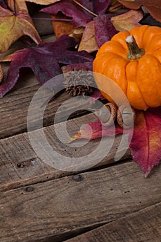Rustic Fall Setting with Minature Pumpkin