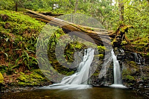 Rustic Falls on Orcas Island in the San Juan Islands, Washington photo