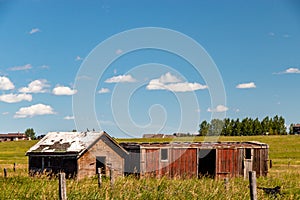 Rustic farm buildings in a field. Rockyview County,Alberta,Canada