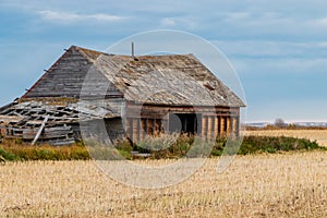 Rustic farm buildings still standing and some have given up. Mountainview County, Alberta, Canada