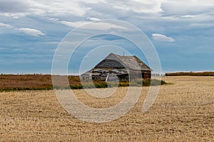 Rustic farm buildings still standing and some have given up. Mountainview County, Alberta, Canada