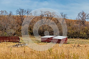 Rustic farm buildings still standing and some have given up. Mountainview County, Alberta, Canada